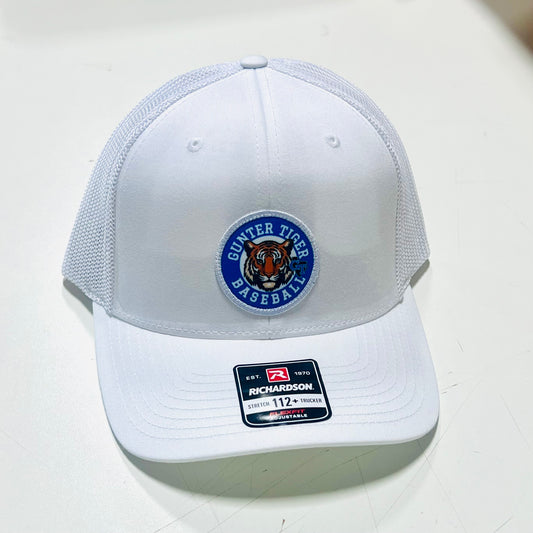 Baseball Tiger